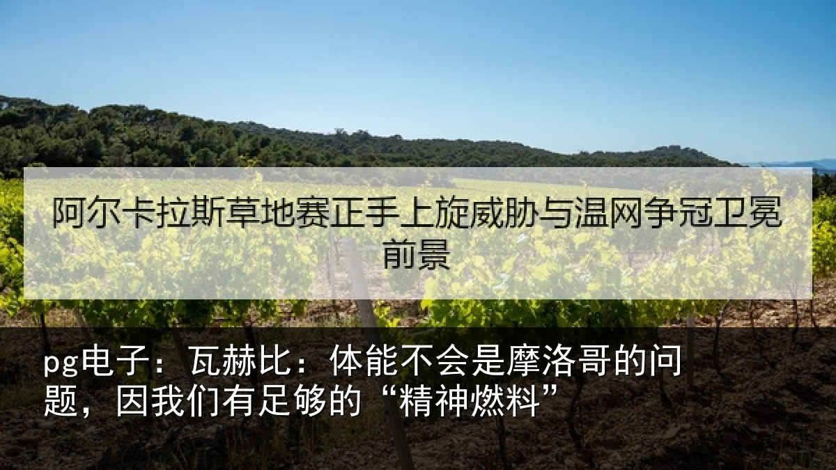 pg电子:瓦赫比:体能不会是摩洛哥的问题,因我们有足够的“精神燃料”
