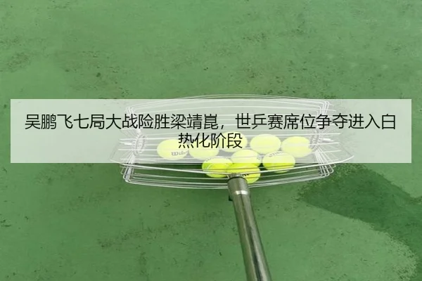 吴鹏飞七局大战险胜梁靖崑，世乒赛席位争夺进入白热化阶段