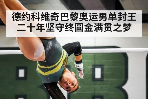 德约科维奇巴黎奥运男单封王 二十年坚守终圆金满贯之梦